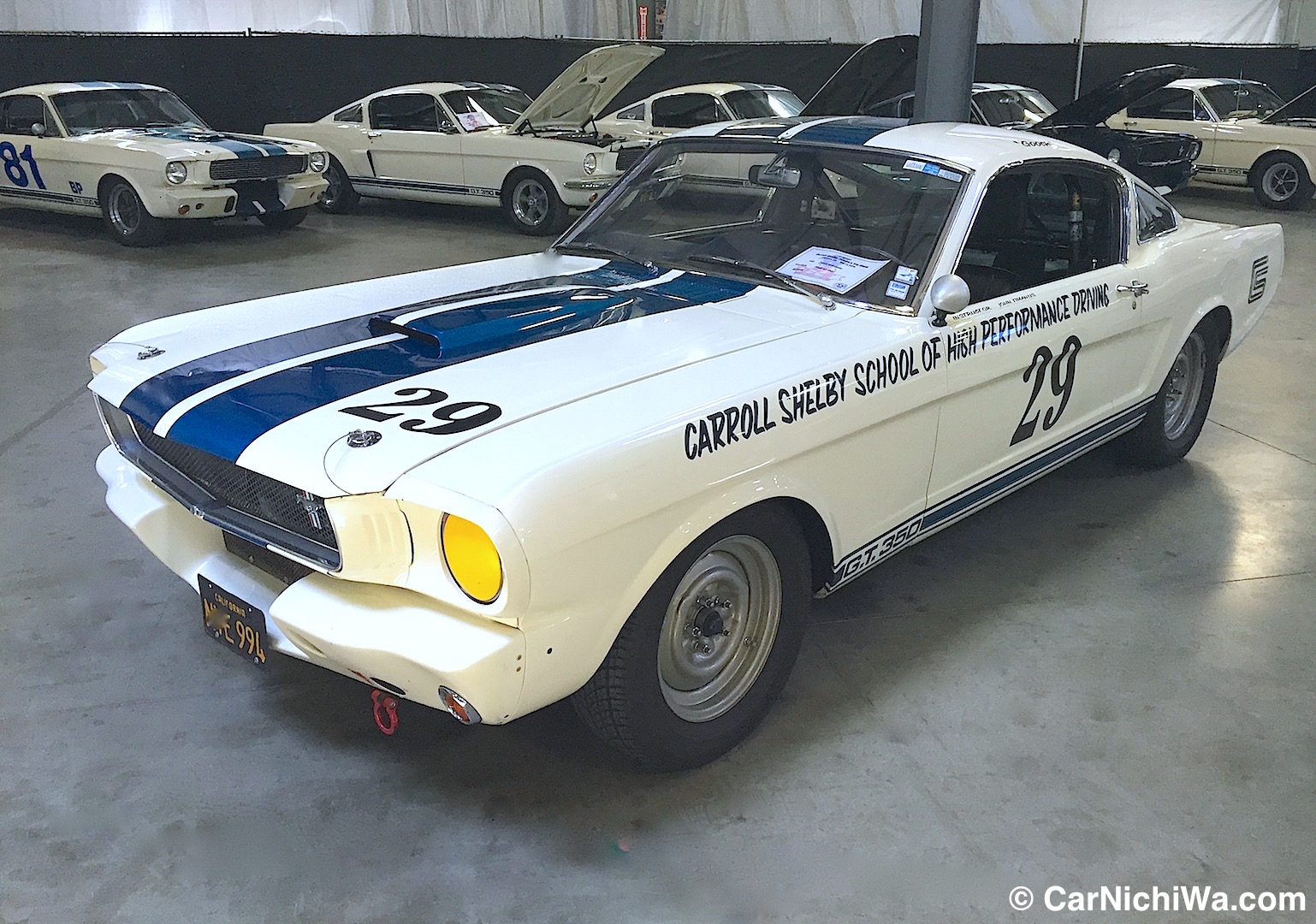 2016 Carroll Shelby Tribute Our Video Report on a Fantastic Car Show CarNichiWa®